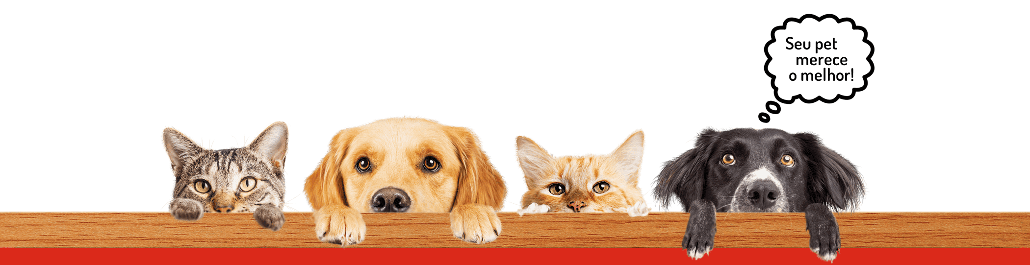 Chef for Pets - comida de verdade