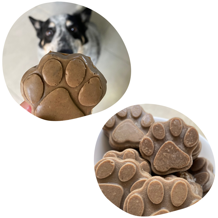 Chef for Pets - comida de verdade