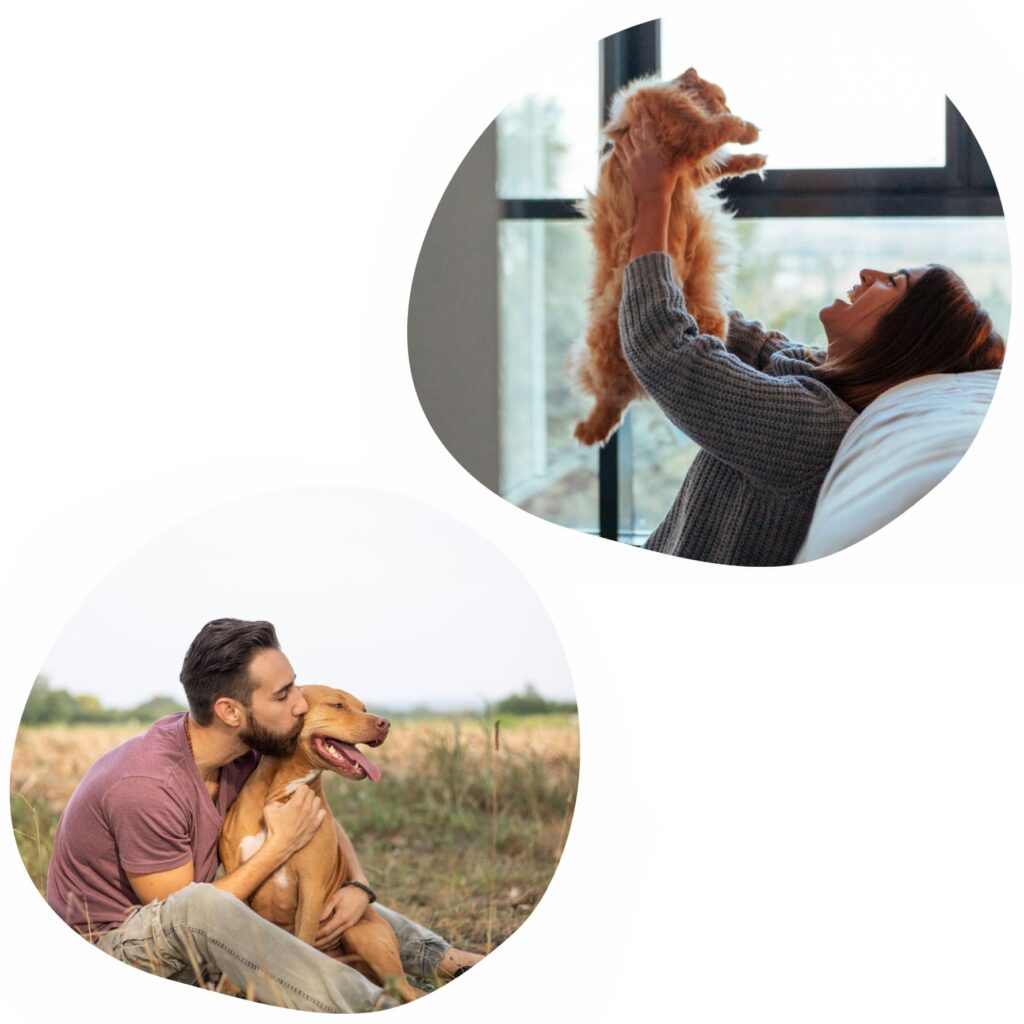 Chef for Pets - comida de verdade